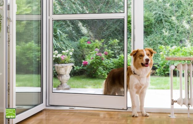 Bild von einer Insektenschutztür wo ein Hund entlang läuft